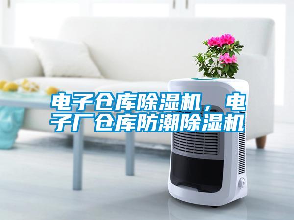 電子倉(cāng)庫(kù)除濕機(jī)，電子廠倉(cāng)庫(kù)防潮除濕機(jī)