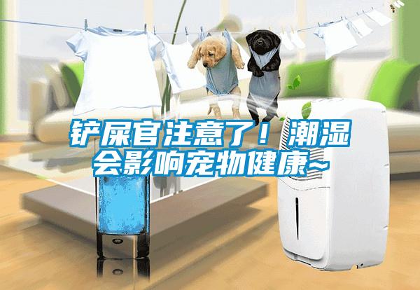 鏟屎官注意了！潮濕會影響寵物健康~