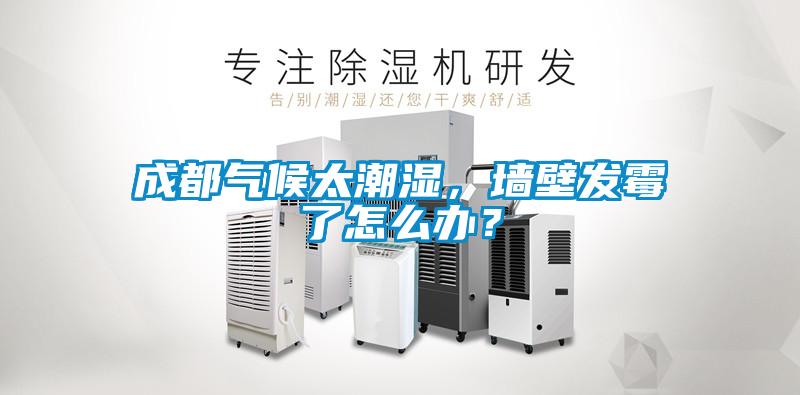成都?xì)夂蛱睗?，墻壁發(fā)霉了怎么辦？