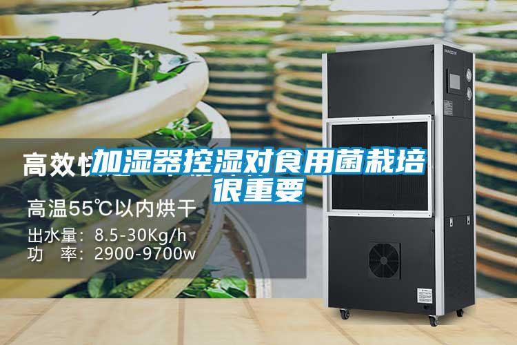 加濕器控濕對(duì)食用菌栽培很重要