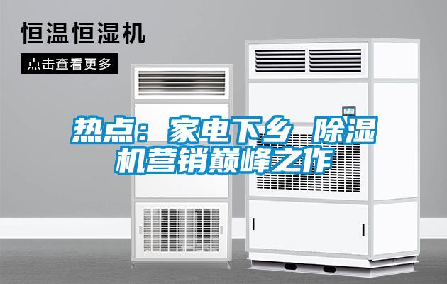 熱點：家電下鄉(xiāng) 除濕機營銷巔峰之作