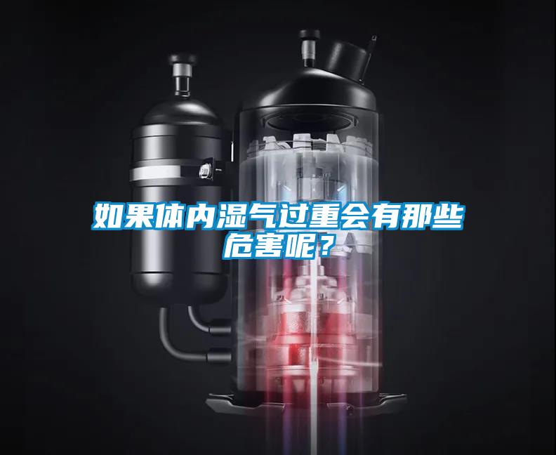 如果體內(nèi)濕氣過(guò)重會(huì)有那些危害呢？