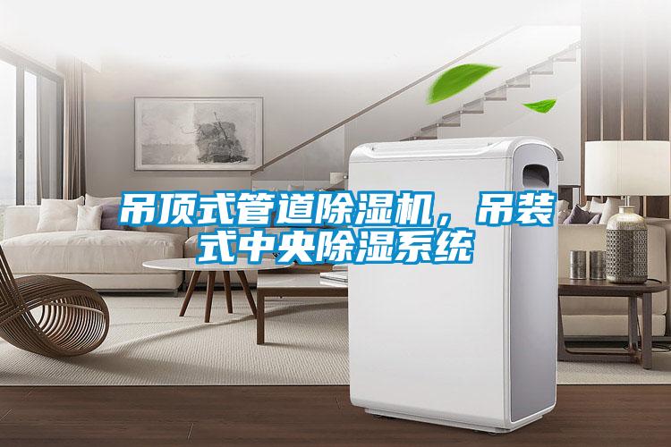 吊頂式管道除濕機，吊裝式中央除濕系統(tǒng)