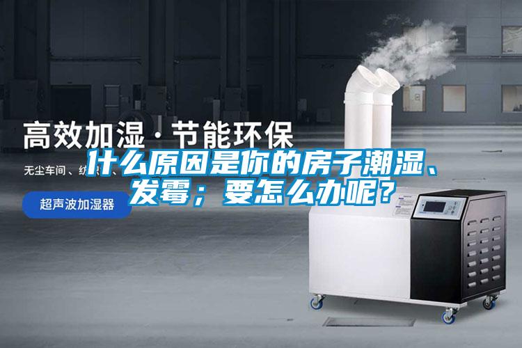 什么原因是你的房子潮濕、發(fā)霉；要怎么辦呢？