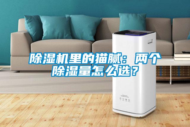 除濕機(jī)里的貓膩：兩個(gè)除濕量怎么選？