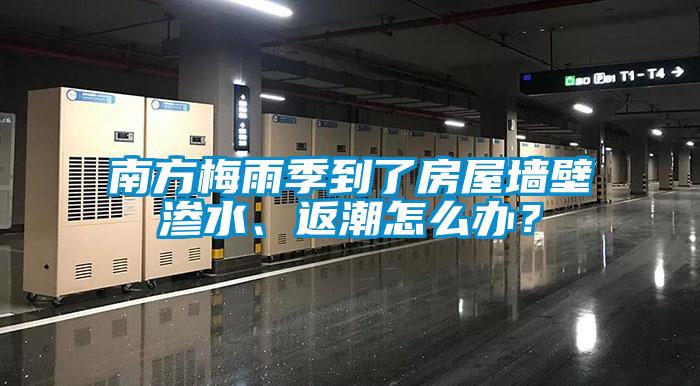 南方梅雨季到了房屋墻壁滲水、返潮怎么辦？