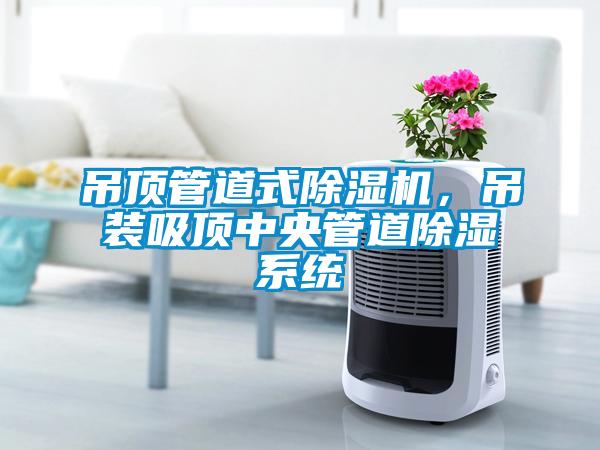 吊頂管道式除濕機，吊裝吸頂中央管道除濕系統(tǒng)