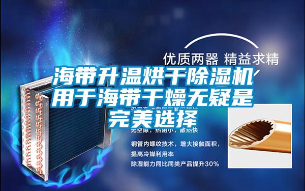 海帶升溫烘干除濕機(jī)用于海帶干燥無疑是完美選擇