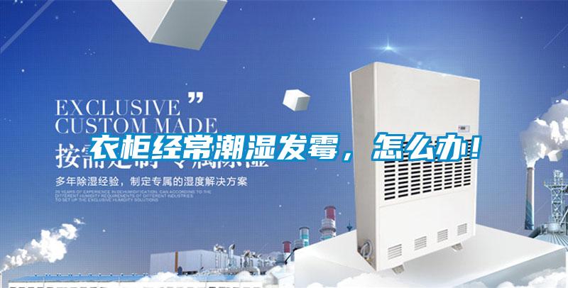 衣柜經(jīng)常潮濕發(fā)霉，怎么辦！