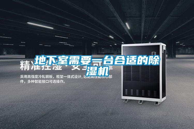 地下室需要一臺合適的除濕機(jī)