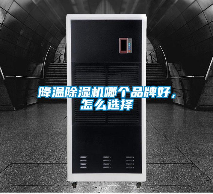 降溫除濕機(jī)哪個品牌好，怎么選擇