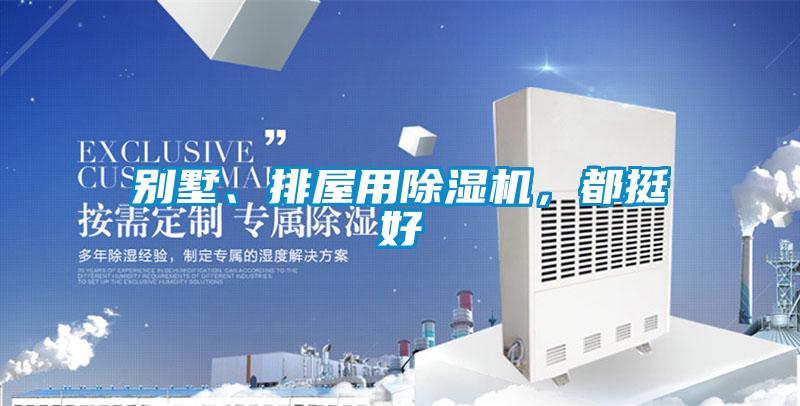 別墅、排屋用除濕機(jī)，都挺好