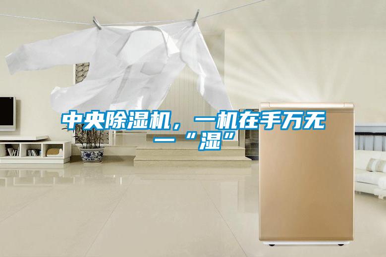 中央除濕機，一機在手萬無一“濕”