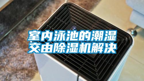 室內(nèi)泳池的潮濕交由除濕機解決