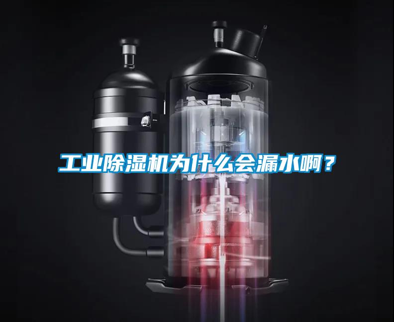 工業(yè)除濕機(jī)為什么會漏水啊？