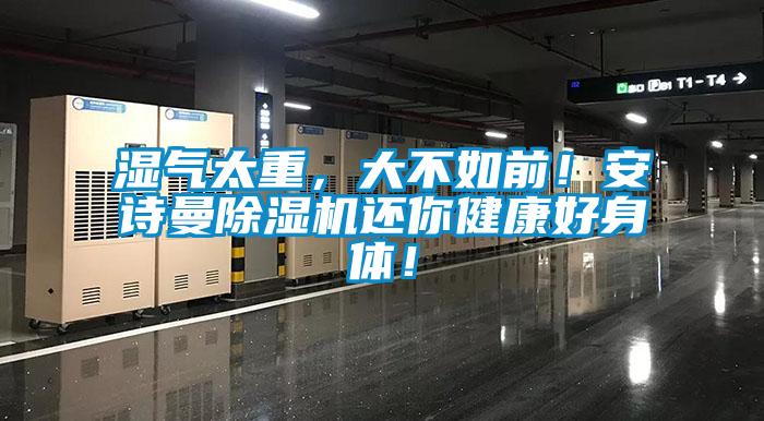 濕氣太重，大不如前！安詩曼除濕機還你健康好身體！