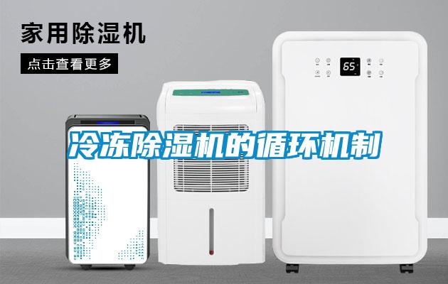 冷凍除濕機(jī)的循環(huán)機(jī)制