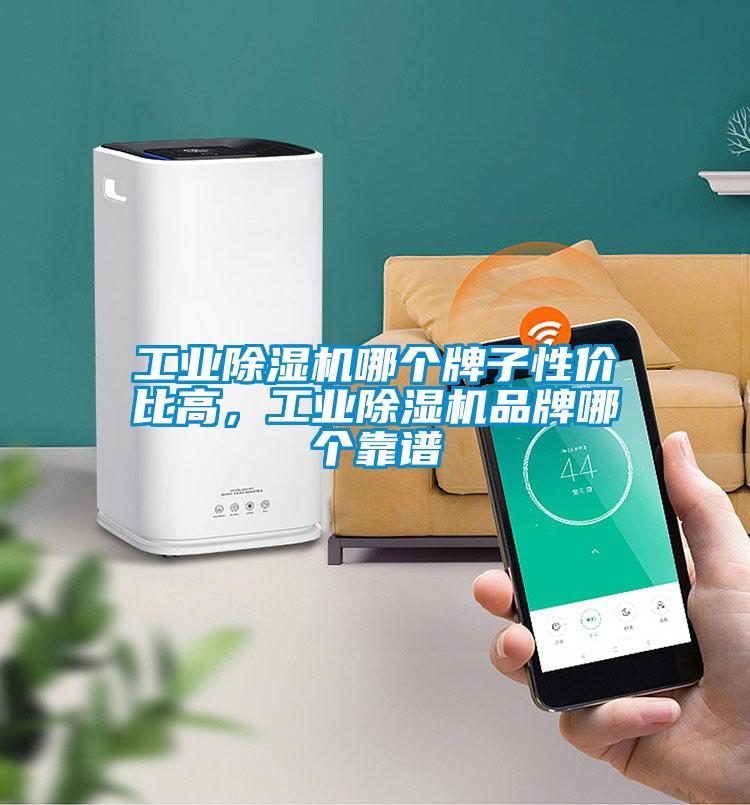 工業(yè)除濕機(jī)哪個(gè)牌子性價(jià)比高，工業(yè)除濕機(jī)品牌哪個(gè)靠譜