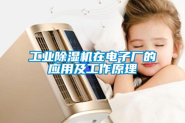 工業(yè)除濕機在電子廠的應(yīng)用及工作原理