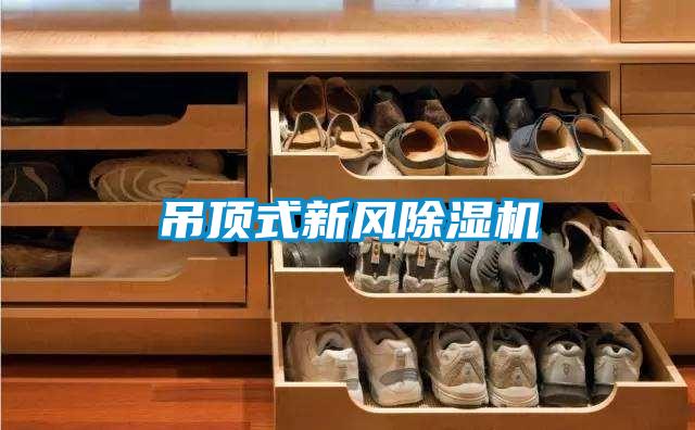 吊頂式新風(fēng)除濕機