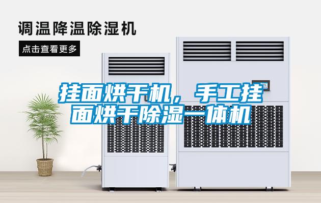 掛面烘干機(jī)，手工掛面烘干除濕一體機(jī)