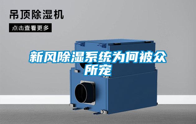 新風除濕系統(tǒng)為何被眾所寵