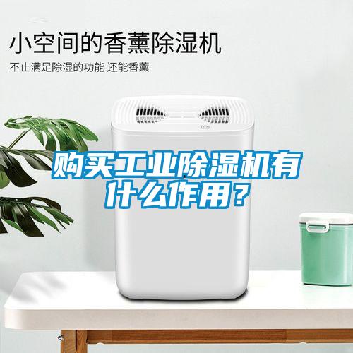 購(gòu)買工業(yè)除濕機(jī)有什么作用？