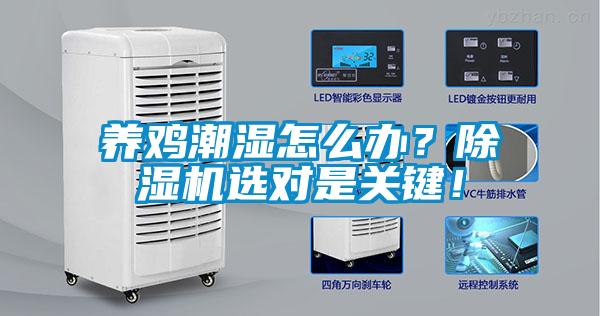 養(yǎng)雞潮濕怎么辦？除濕機(jī)選對(duì)是關(guān)鍵！