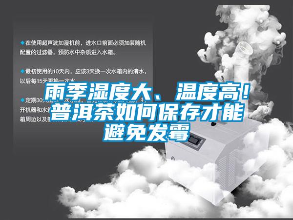雨季濕度大、溫度高！普洱茶如何保存才能避免發(fā)霉