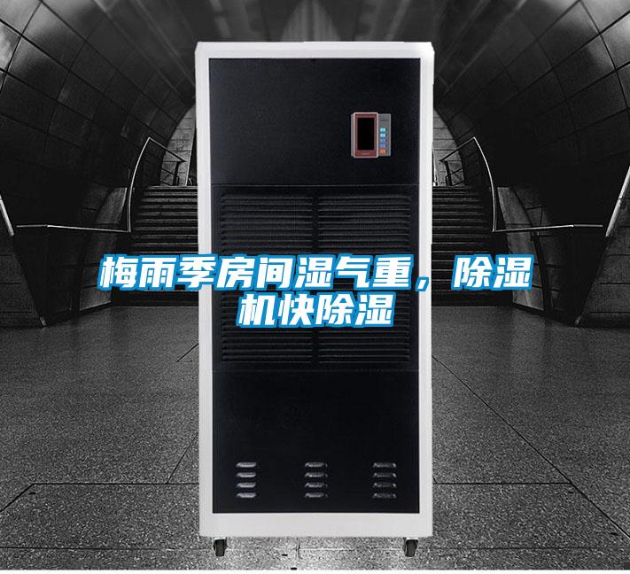 梅雨季房間濕氣重，除濕機快除濕