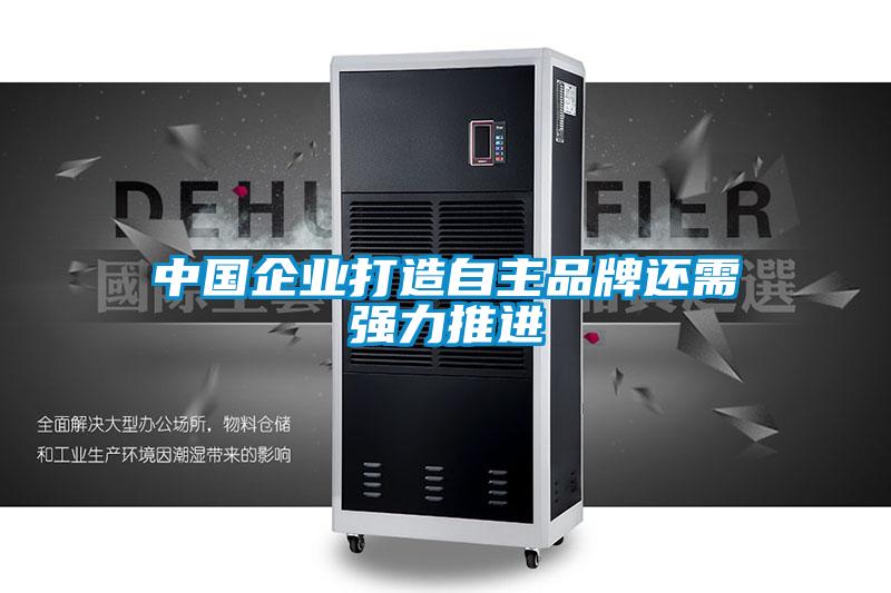 中國企業(yè)打造自主品牌還需強力推進