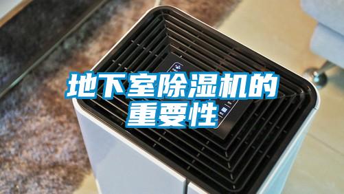 地下室除濕機(jī)的重要性
