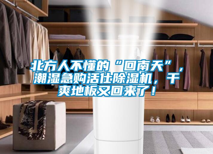 北方人不懂的“回南天”，潮濕急購活仕除濕機，干爽地板又回來了！