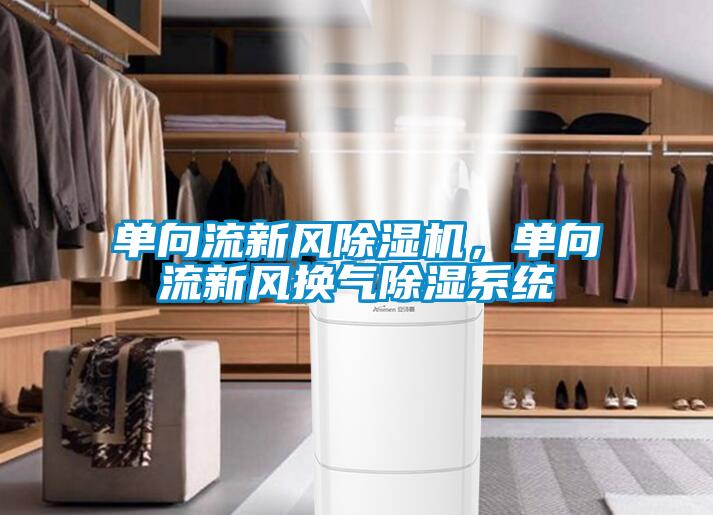 單向流新風(fēng)除濕機(jī)，單向流新風(fēng)換氣除濕系統(tǒng)