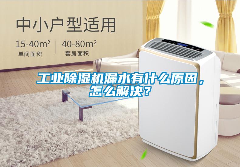 工業(yè)除濕機(jī)漏水有什么原因，怎么解決？