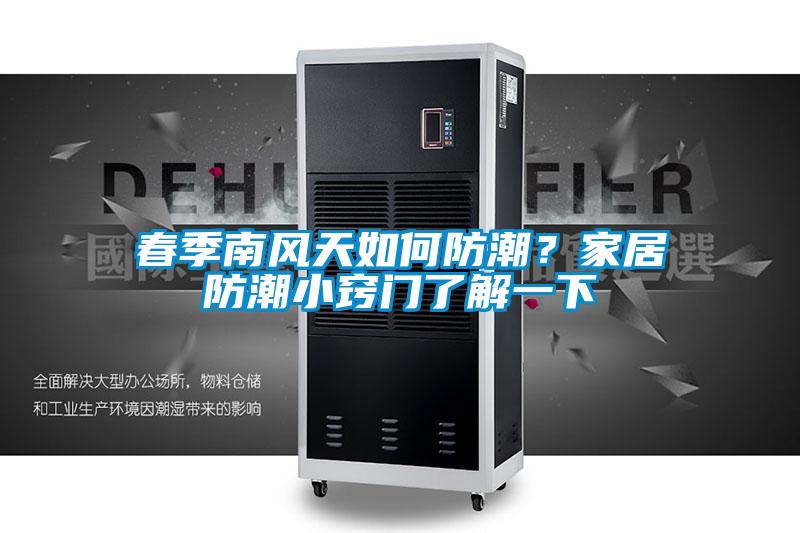 春季南風(fēng)天如何防潮？家居防潮小竅門了解一下