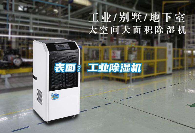 表面：工業(yè)除濕機(jī)