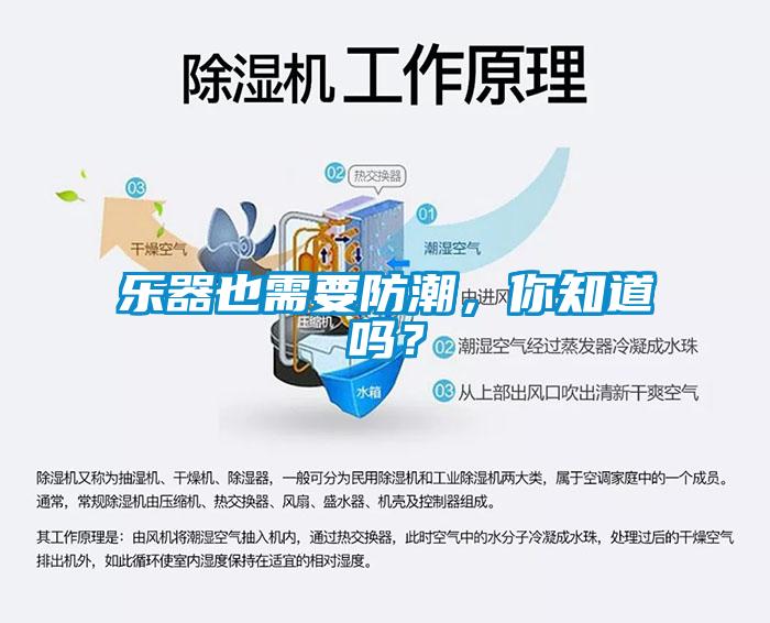 樂器也需要防潮，你知道嗎？