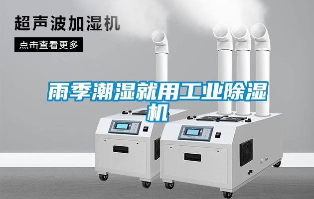 雨季潮濕就用工業(yè)除濕機