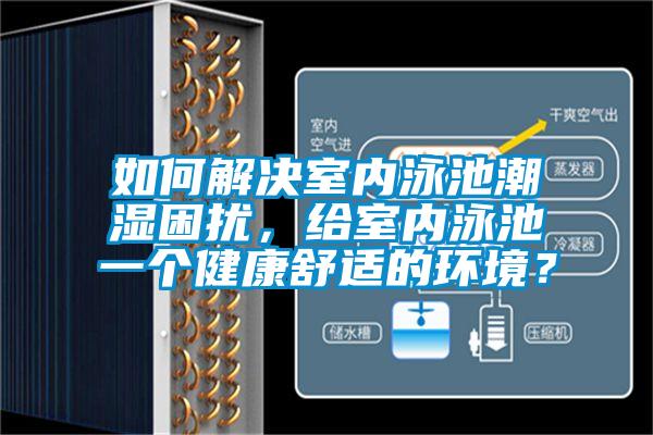 如何解決室內(nèi)泳池潮濕困擾，給室內(nèi)泳池一個健康舒適的環(huán)境？