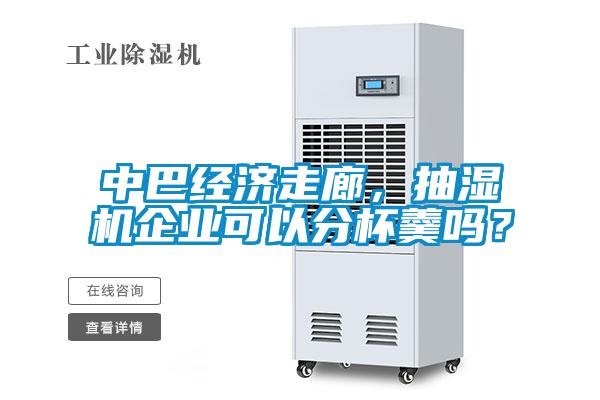 中巴經(jīng)濟走廊，抽濕機企業(yè)可以分杯羹嗎？