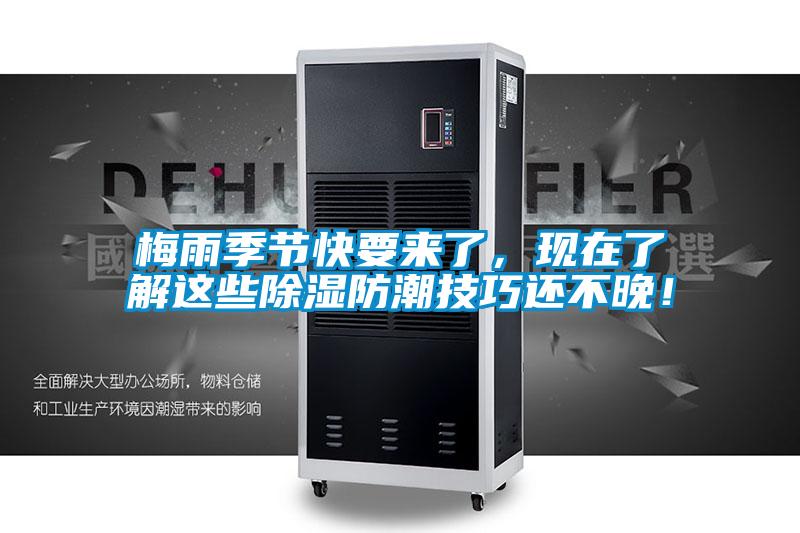 梅雨季節(jié)快要來了，現(xiàn)在了解這些除濕防潮技巧還不晚！