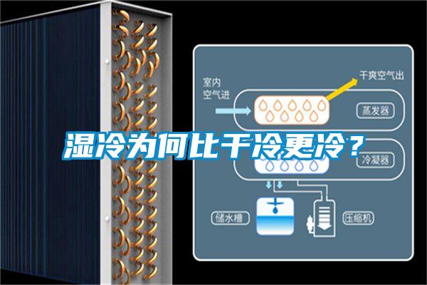 濕冷為何比干冷更冷？
