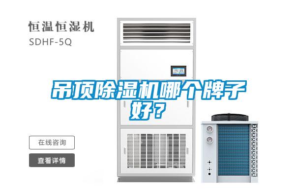 吊頂除濕機(jī)哪個(gè)牌子好？