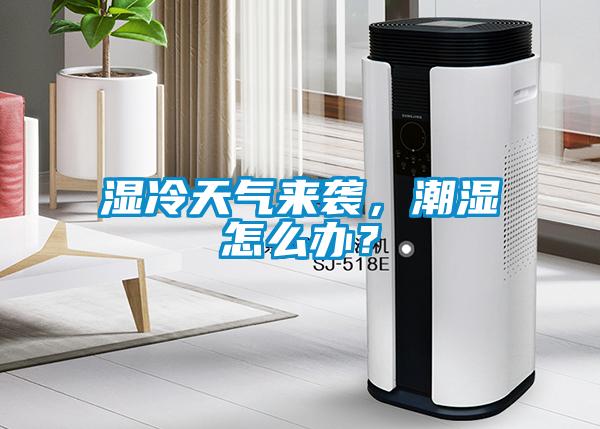濕冷天氣來(lái)襲，潮濕怎么辦？