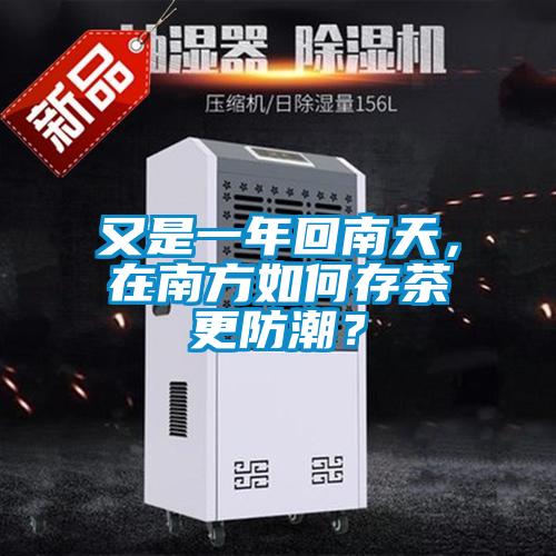 又是一年回南天，在南方如何存茶更防潮？
