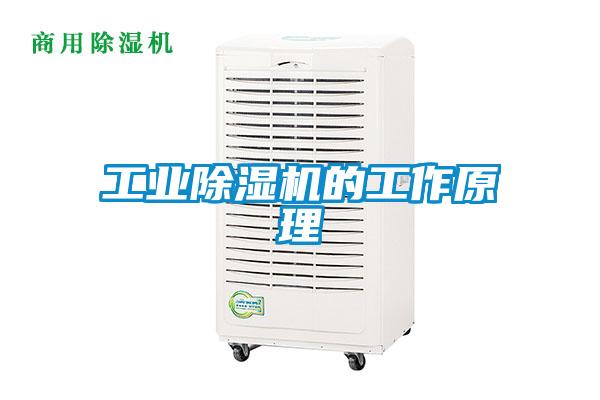 工業(yè)除濕機(jī)的工作原理