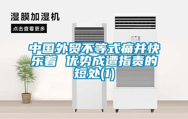 中國外貿(mào)不等式痛并快樂著 優(yōu)勢成遭指責的短處(1)