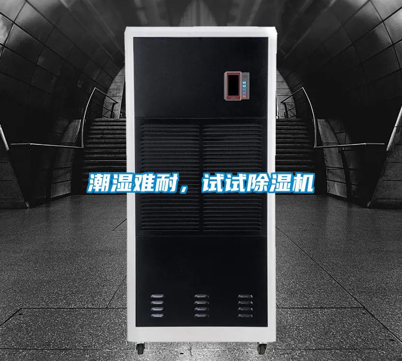 潮濕難耐，試試除濕機(jī)