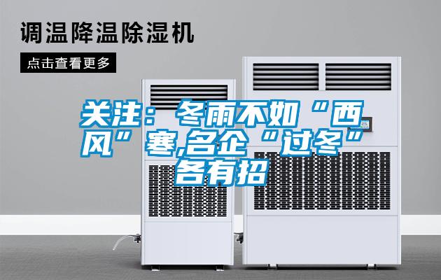 關(guān)注：冬雨不如“西風(fēng)”寒,名企“過冬”各有招
